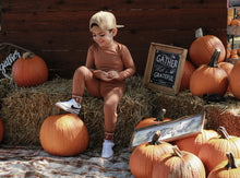 Load image into Gallery viewer, Raiden