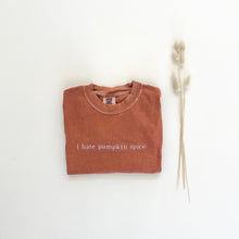 Load image into Gallery viewer, I Hate Pumpkin Spice Embroidered T-Shirt