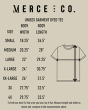 Load image into Gallery viewer, Immediately, No Embroidered T-Shirt