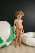 Load image into Gallery viewer, Finn Boardshorts