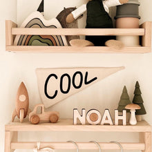 Load image into Gallery viewer, cool pennant