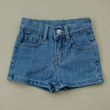 Load image into Gallery viewer, Gene Shorts