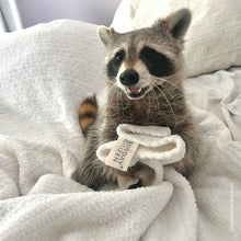 Load image into Gallery viewer, Snug Throw