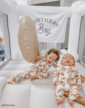 Load image into Gallery viewer, Birthday Boy Banner
