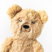 Load image into Gallery viewer, Honey Bear Kin
