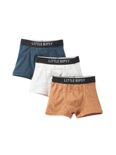 Load image into Gallery viewer, Boxer Brief 3-Pack - Hello Fall
