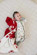 Load image into Gallery viewer, Candy Cane Plush Blanket
