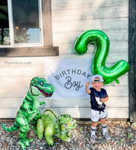 Load image into Gallery viewer, Birthday Boy Banner
