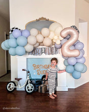 Load image into Gallery viewer, Birthday Dude Banner
