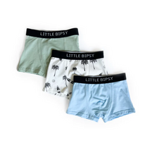 Load image into Gallery viewer, Baja Mix Boxer Brief 3 Pack
